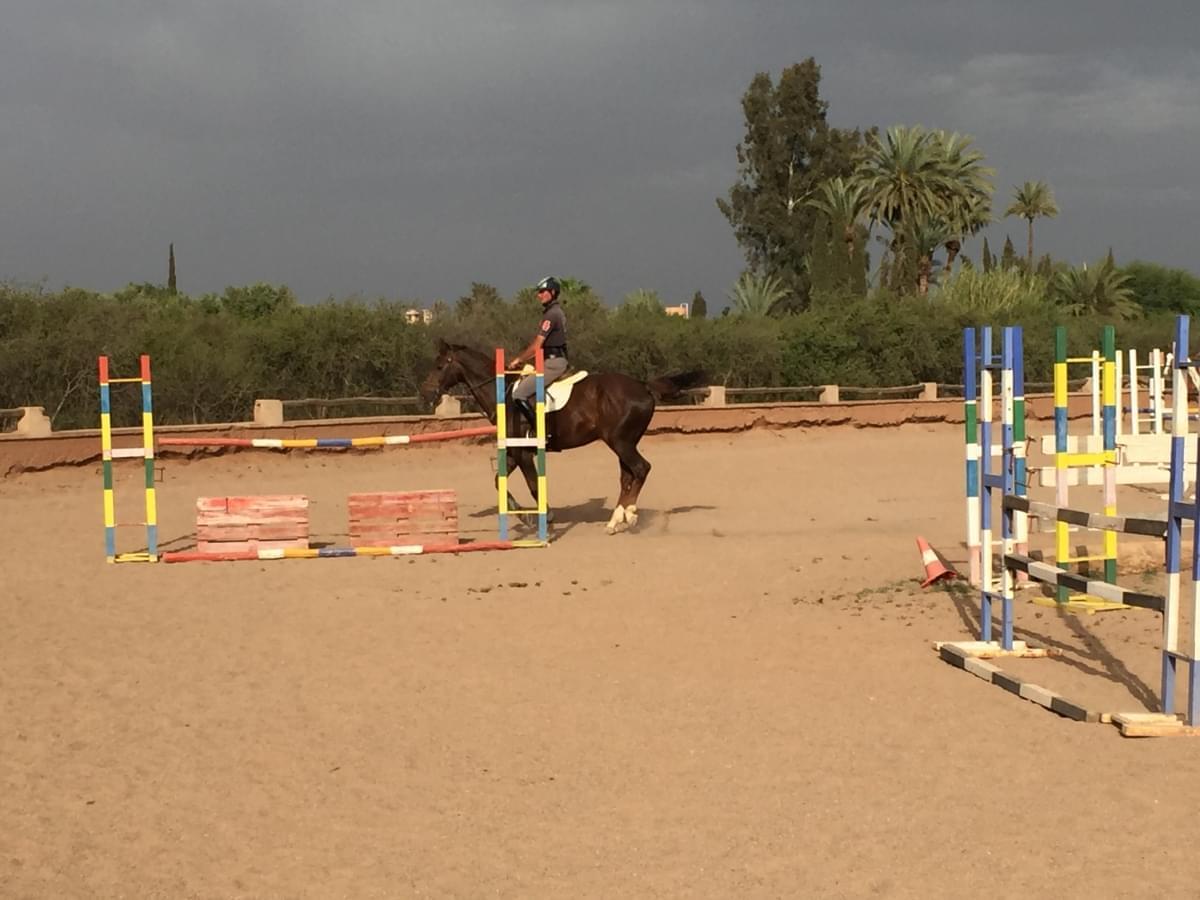 Horseback riding in the Palmeraie - Montagne sahara — photo 4