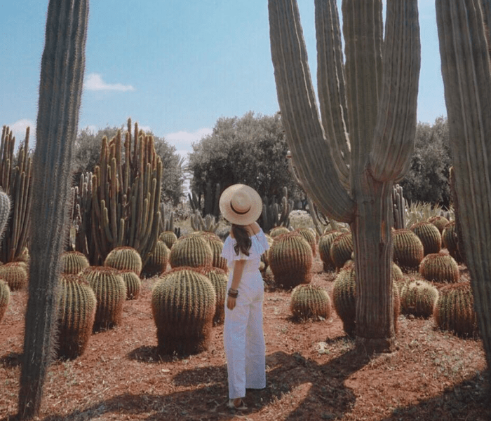 Cactus Thiemann Garden Visit