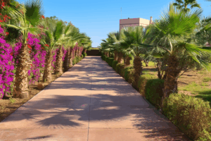 file_00000000bf48720a9d21d27b185fa8c9