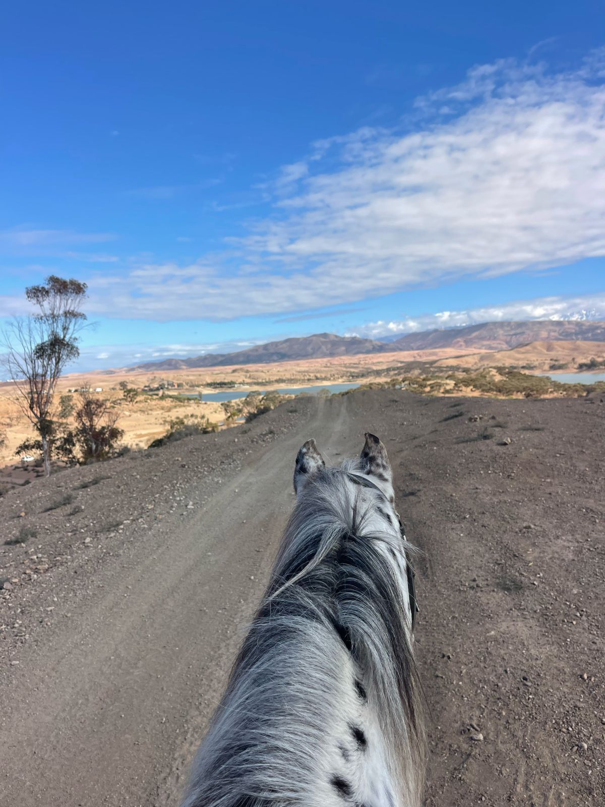 Horseback Riding at Lake Lalla Takerkoust - Montagne sahara