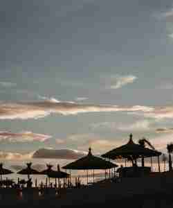 WhatsApp Image 2023-11-30 at 13.13.40