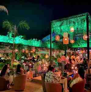 WhatsApp Image 2023-12-02 at 12.43.56