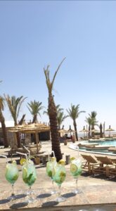 Screenshot_20260405_114500_Gallery