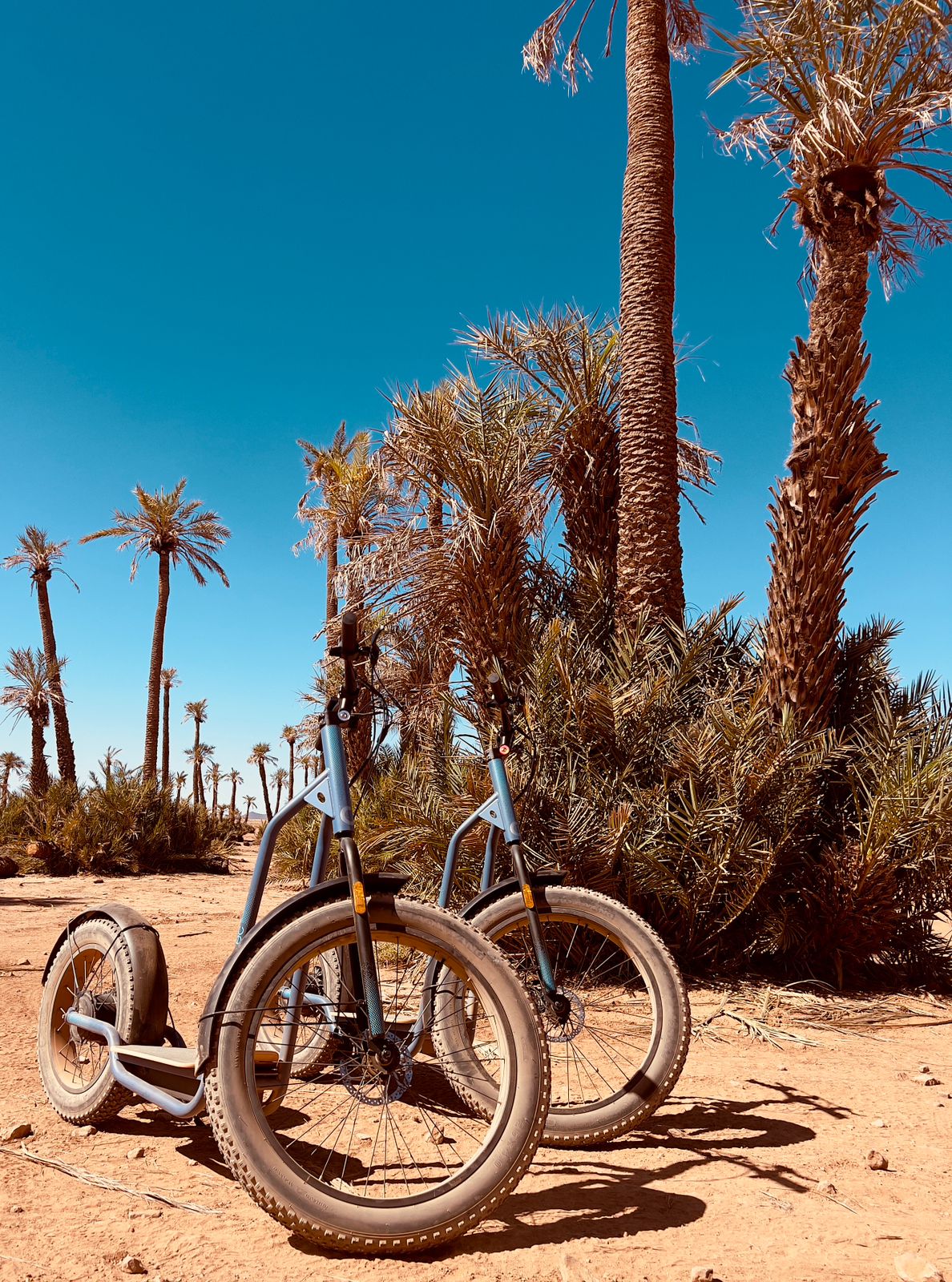Scooter ride at the Palmeraie - Montagne sahara — photo 4