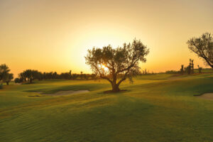 Royal Palm Marrakech