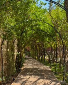ENTRANCE P L