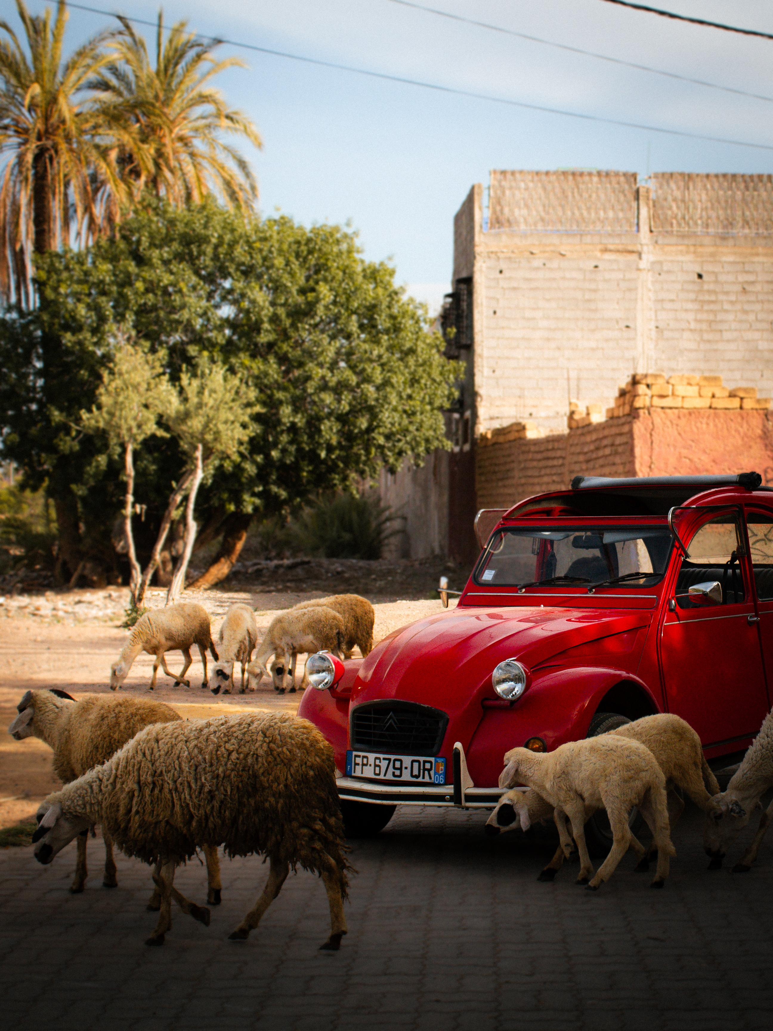 2CV Ride - Montagne sahara — photo 5