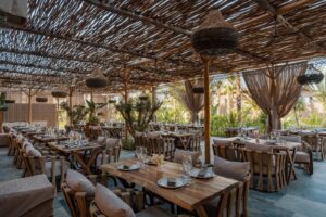 WhatsApp Image 2025-12-17 at 13.58.26 (1)