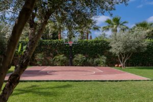 WhatsApp Image 2026-01-29 at 17.23.17