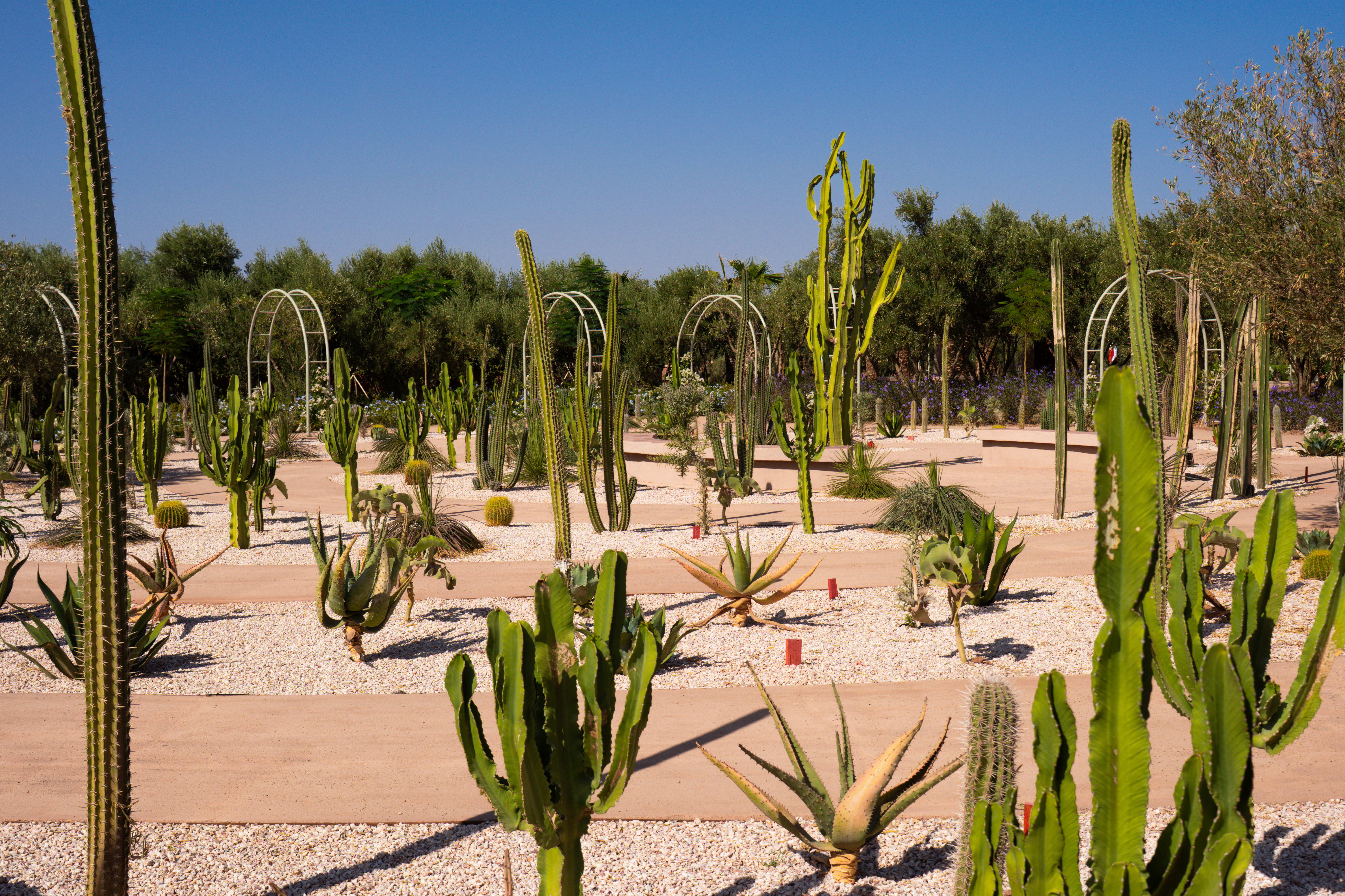Jardin Ocre