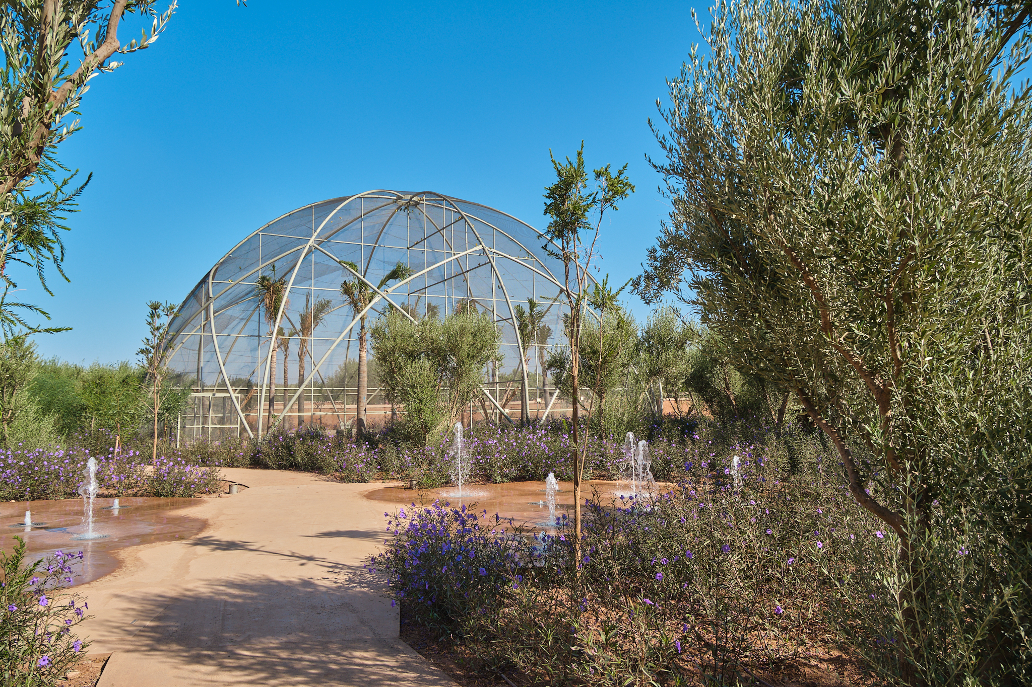 Jardin Ocre — photo 7