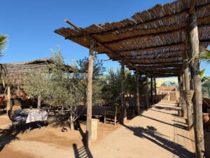 PHOTO-2026-02-09-13-18-16