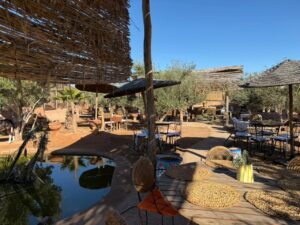 PHOTO-2026-02-09-13-18-17 2