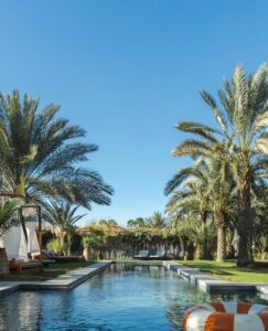 WhatsApp Image 2026-02-12 at 17.05.47 (1)