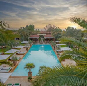 WhatsApp Image 2026-02-12 at 17.05.47 (2)