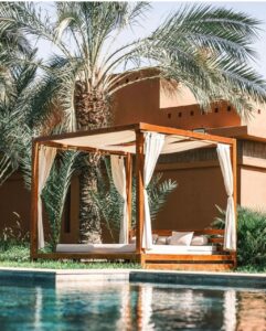 WhatsApp Image 2026-02-12 at 17.05.47 (3)