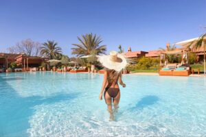 WhatsApp Image 2026-02-12 at 17.05.48