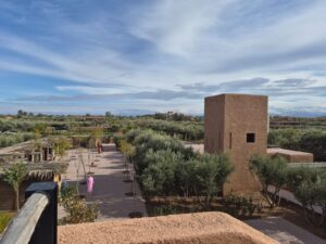 WhatsApp Image 2026-02-17 at 16.35.33