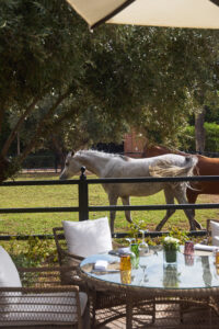 SELMAN MARRAKECH